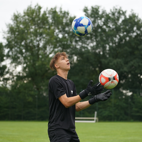 WOLF PRO ΟΝΥΧ NEGRU